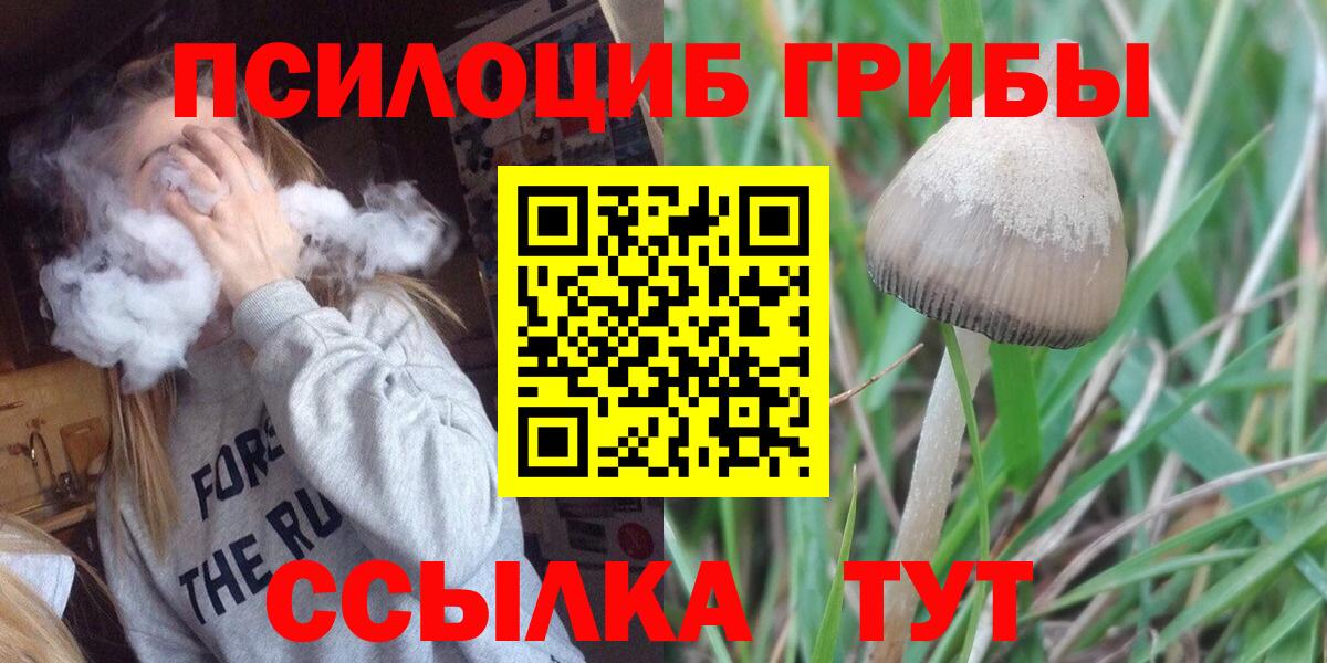 Татарск  Псилоцибиновые грибы Psilocybine cubensis  наркошоп  Вход с VPN  Галлюциногенные грибы MAGIC MUSHROOMS 