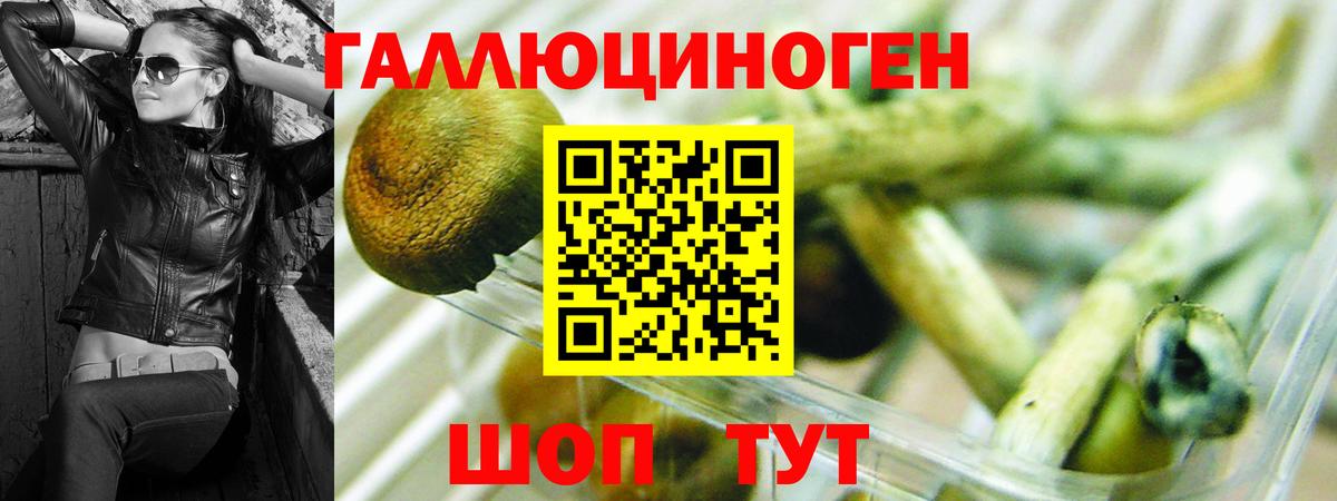Псилоцибиновые грибы Psilocybe Татарск